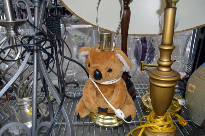 Let’s go thrifting: Weird animal stuff galore at northside Goodwill