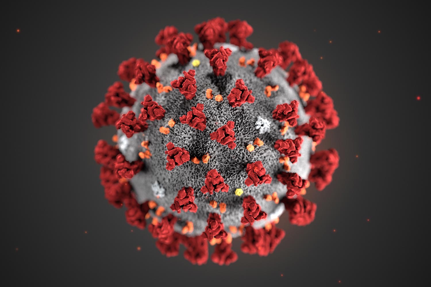 coronavirus wisconsin new research