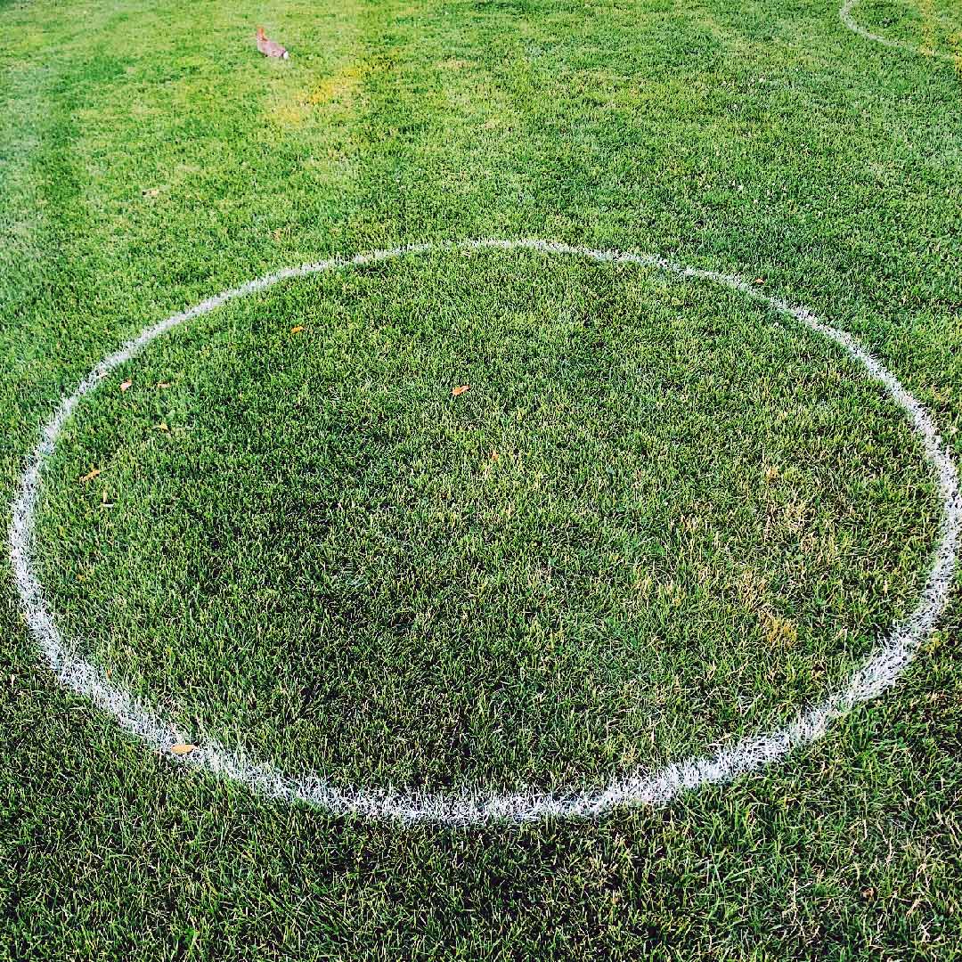Grass circle