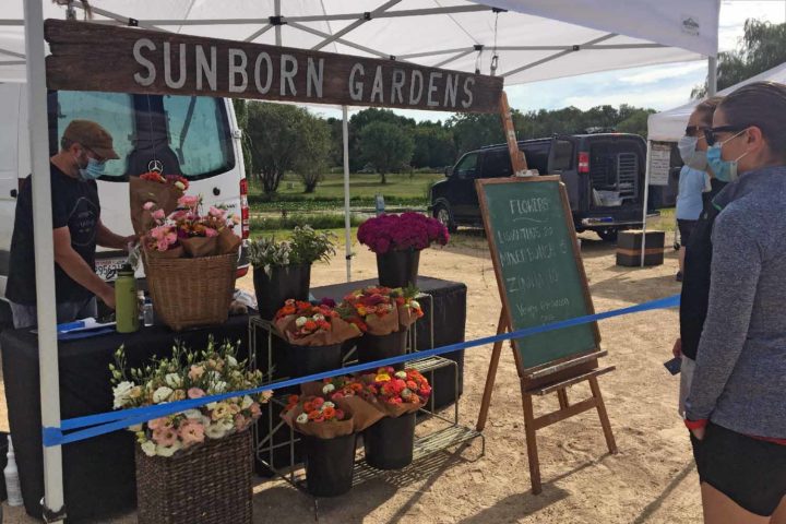 Dane County Farmers’ Market opens walk-up option at Willow Island